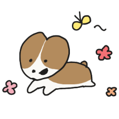 With Corgi in a gentle world
