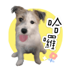 可愛多比.jrt