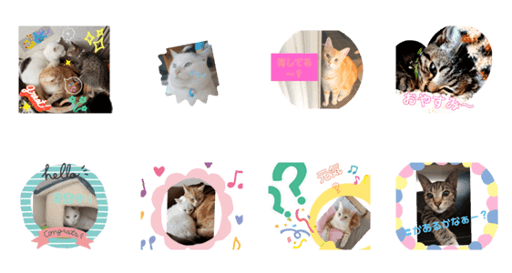 猫 ェ ファミリー Lineクリエイターズスタンプ Stamplist