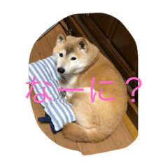 risa_20200611132218