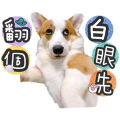 海草 Q比日常