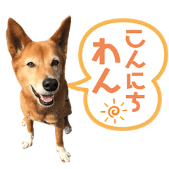 It is a cute Japanese dog sticker