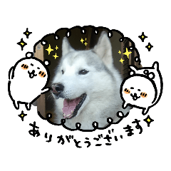 Bowwow Brothers