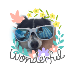 SATOSHI_20200611193556