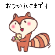 Raccoon every day