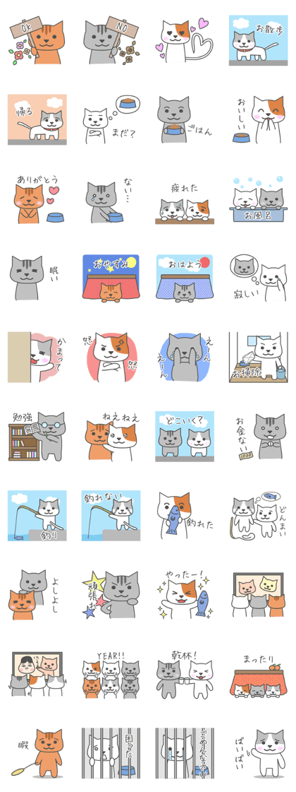 Cat of six good friends