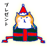 Winter:Pome & Shiba