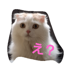 momosi_20200611224214