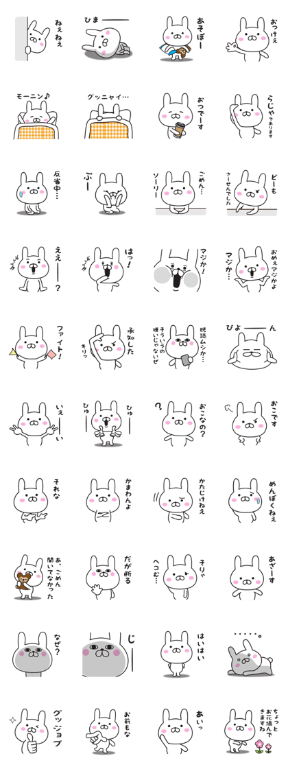 Mr. Rabbit Taro