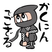 Checking Ninja