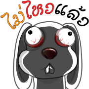 rabbit joke v.001a