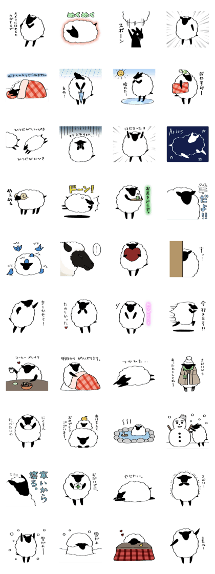 Black face sheep