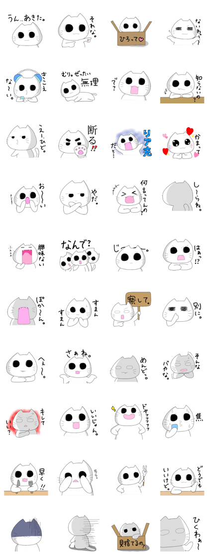 Tsundere white cat