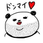 Queen panda
