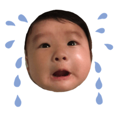 Book Standard Expression Pack