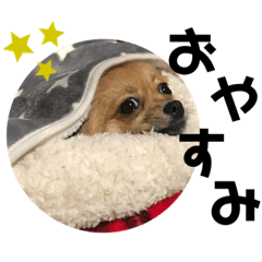 Mizuki_20200611203719