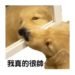 BuBu生活-地瓜篇