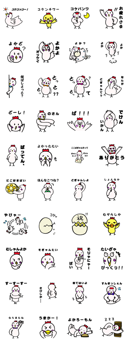 The chickens which Kumamoto loves
