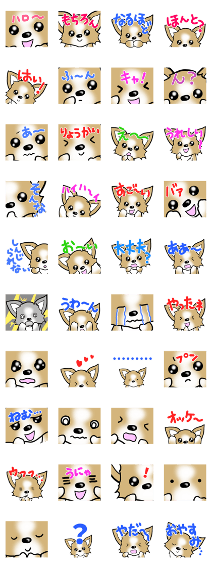 Dog Message Chihuahua