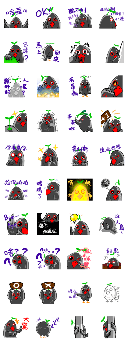 Silver java sparrow's diary