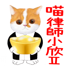 Catlawyer Xiao xin-part two