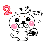 poohcat second