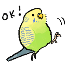 Colorful budgerigar sticker