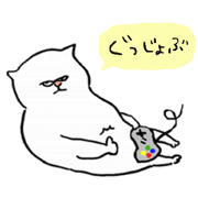 plain cat
