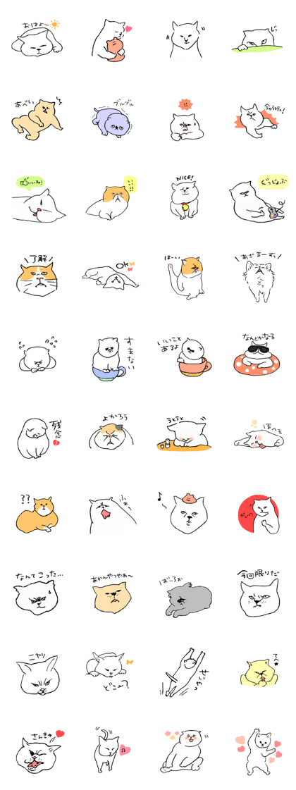 plain cat