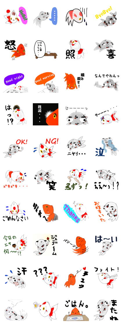 kingyo gurashi