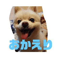 TONTON_20200612131556