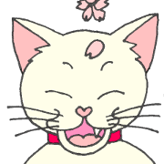 Daily of my house cat 2