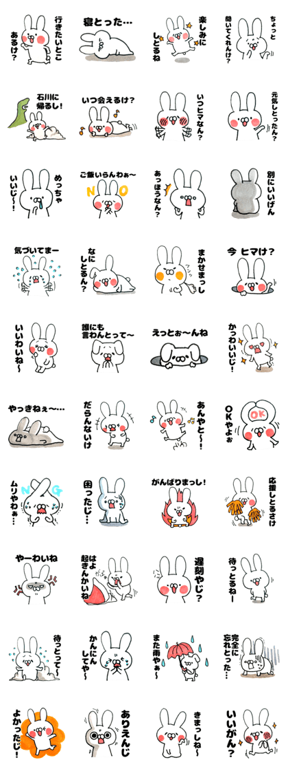 Kanazawa valve rabbit "usako" vol.2