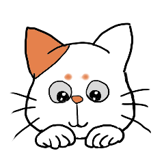 Hilarious cat(nekosuke)