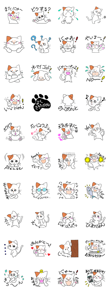 Hilarious cat(nekosuke)