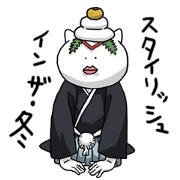 Stylish cat WINTER