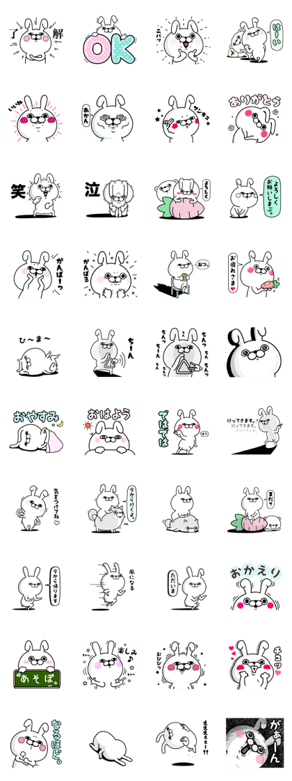 Rabbit100% daily use