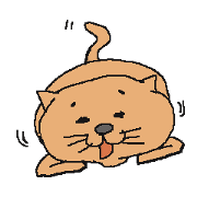 Colorful Cats 40