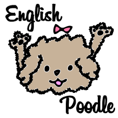fluffy poodle with English message