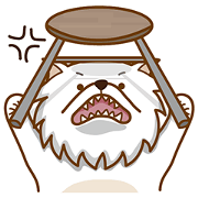 white pomeranian DoDo