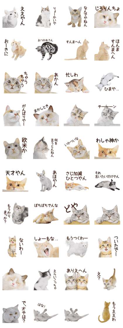 kansai dialect cat2