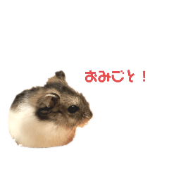 Jinke_20200611200829