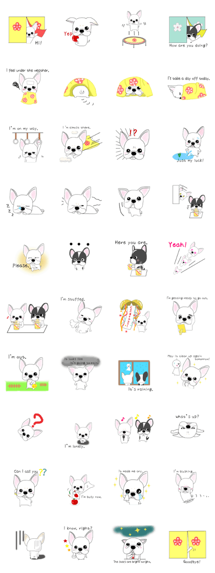 French bulldog Ume 2 English ver.
