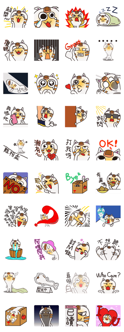 Ahhhh~~Cat