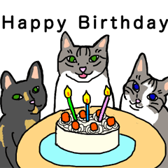 Birthday celebration of my three cats