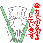 SHAKING CAT IN NEW YEAR