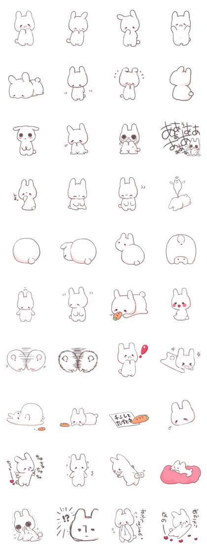 The name of this rabbit is MERO.
