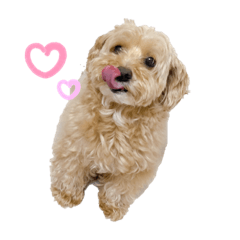 natsumi_20200612132303