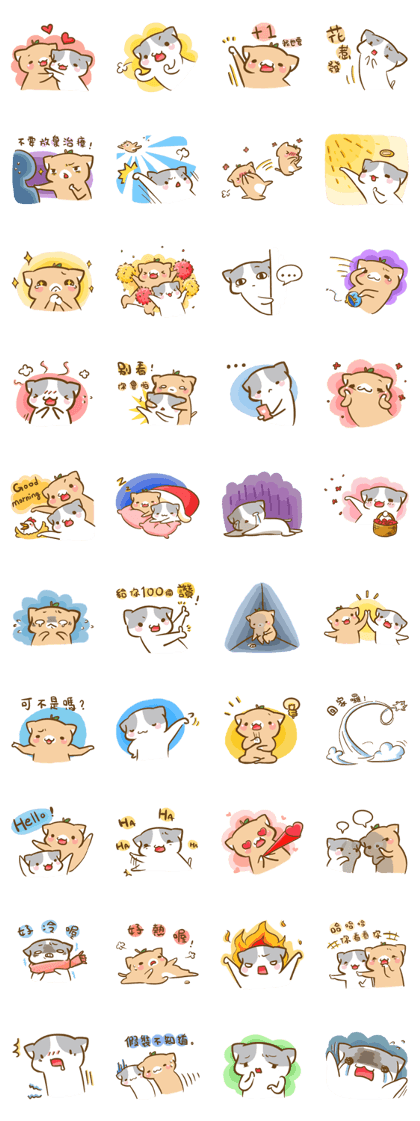 Cats come2
