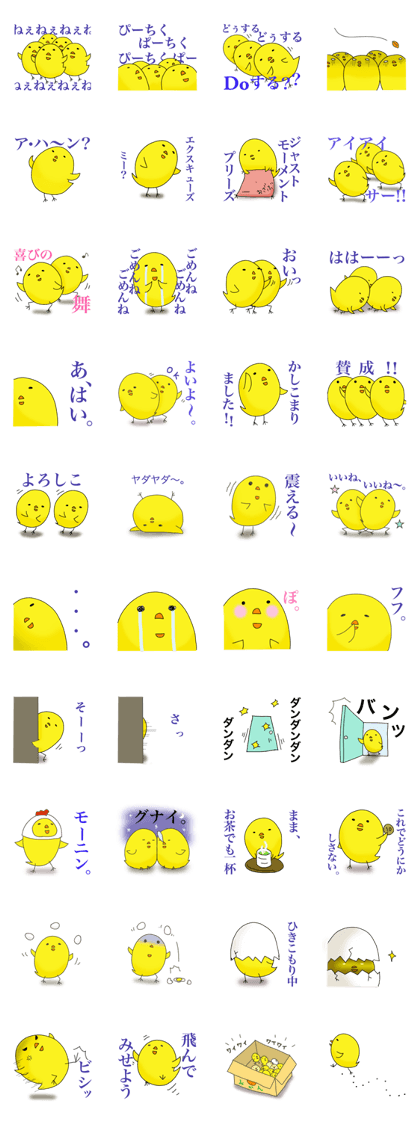 Verbose chick